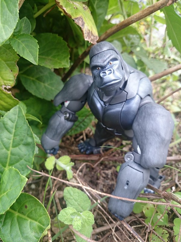 Masterpiece MP 32 Optimus Primal First In Hand Photos 05 (5 of 12)